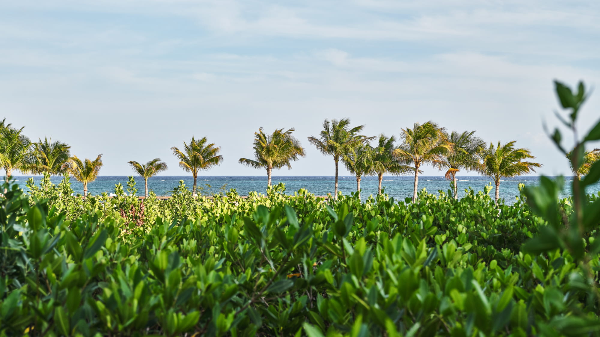 Riviera Maya Retreat 2027